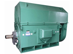 城关Y系列6KV高压电机生产厂家